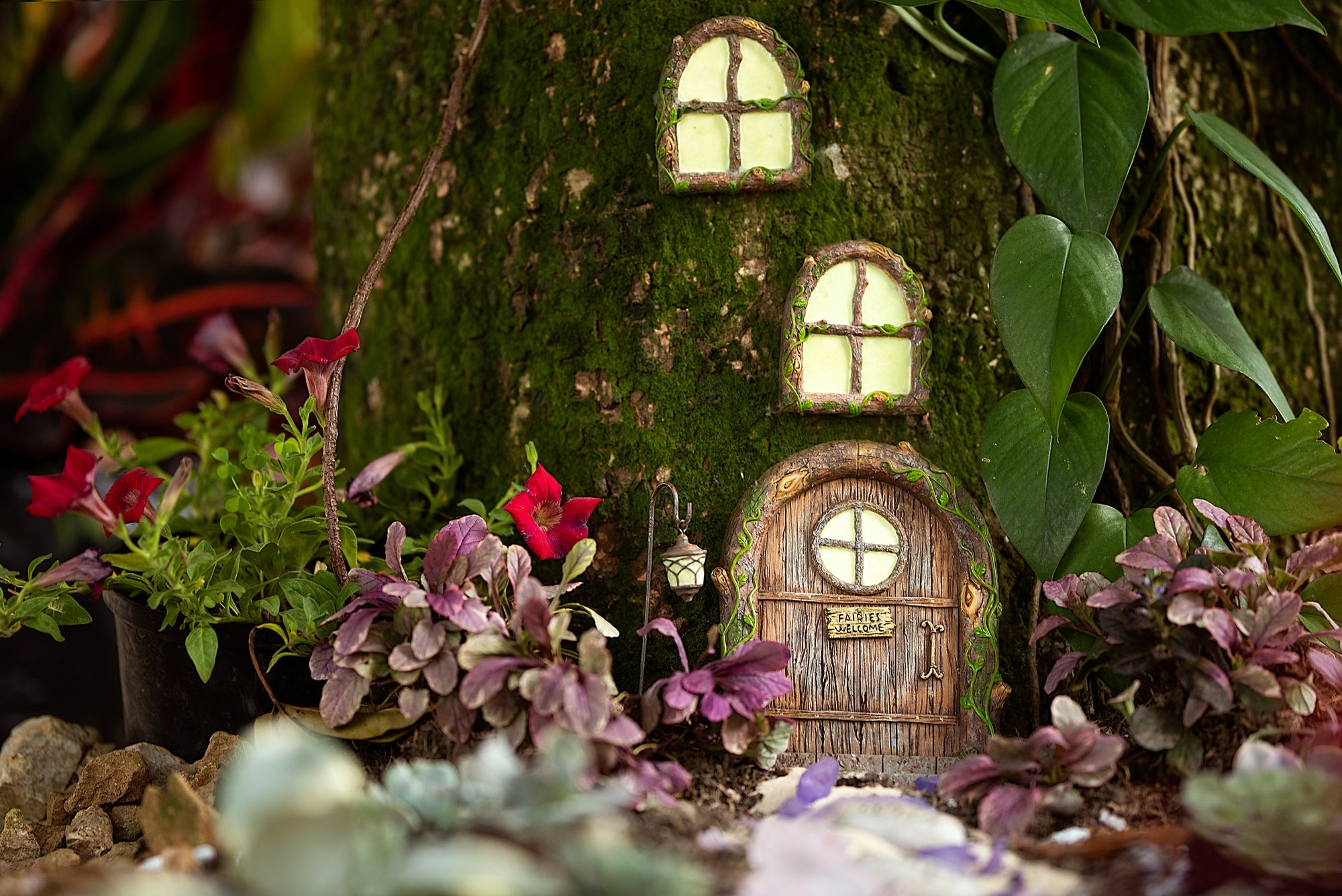 How to Create an Enchanted Fairy Garden: A Step-by-Step Guide