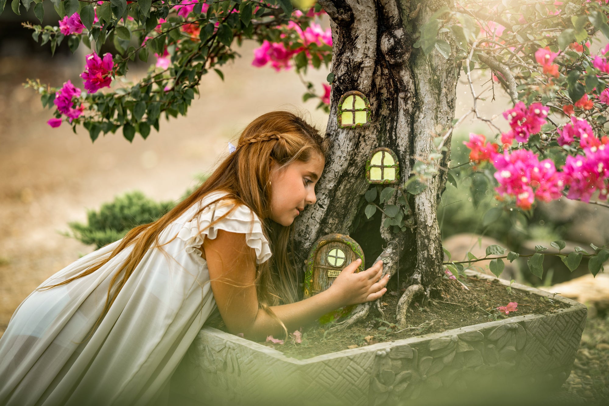 What Is a Fairy Garden? Ideas, Inspiration and How to Start
