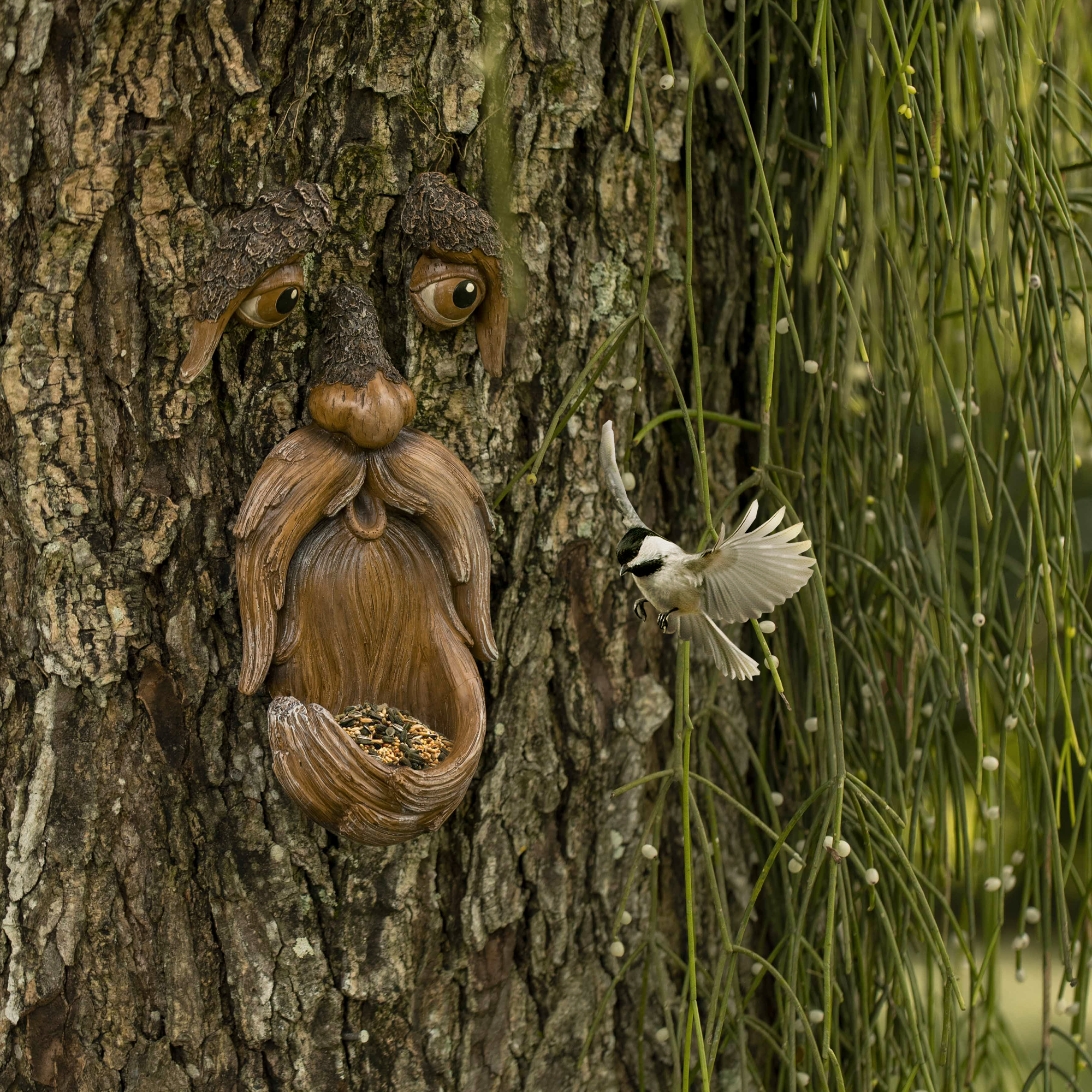 How to Attract Birds to Your Garden: A Beginner's Guide