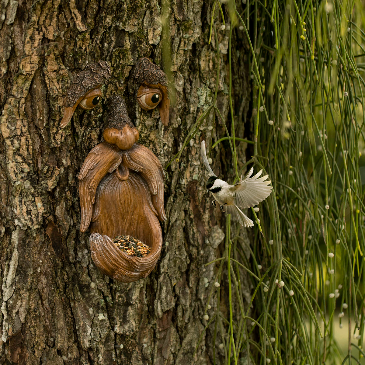 How to Attract Birds to Your Garden: A Beginner's Guide