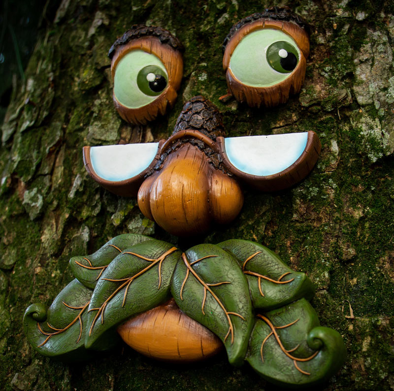 Close-up of whimsical tree face sculpture showing expressive eyes, nose, and mouth with natural brown and green tones