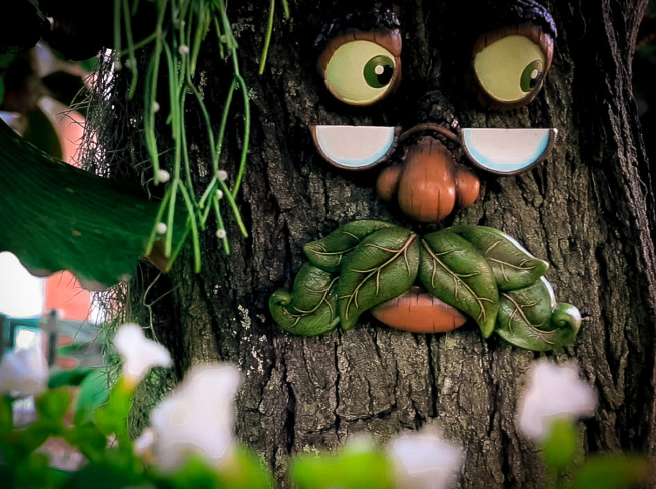 Tree face garden decoration mounted on tree bark surrounded by green leaves, showing realistic wood-textured polyresin finish