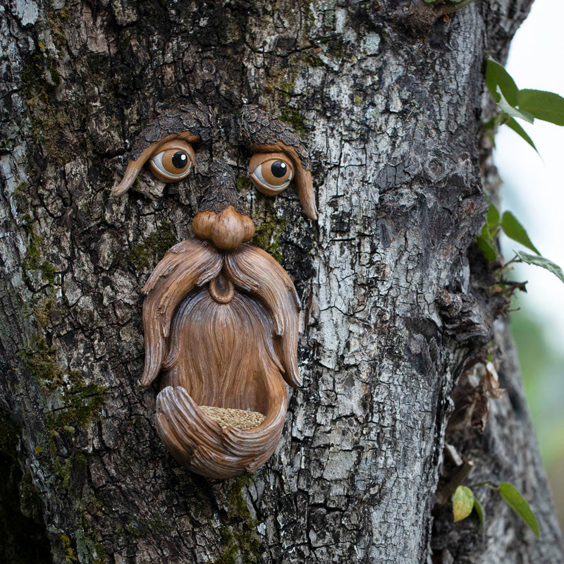Outdoor lifestyle photo of tree face bird feeder on a garden tree with natural foliage and sunlight in the background