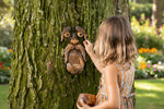 Tree face bird feeder shown from a low angle on a tree, illustrating how it blends into natural bark surroundings