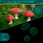 Glow in the Dark Fairy Garden Starter Kit