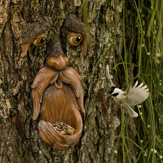 Tree Poetry tree face bird feeder front view showing expressive old man face design with built-in seed tray under the chin